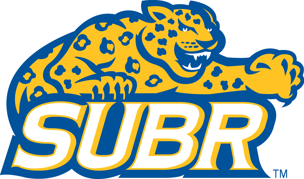 Southern Jaguars 2001-Pres Alternate Logo v5 diy iron on heat transfer